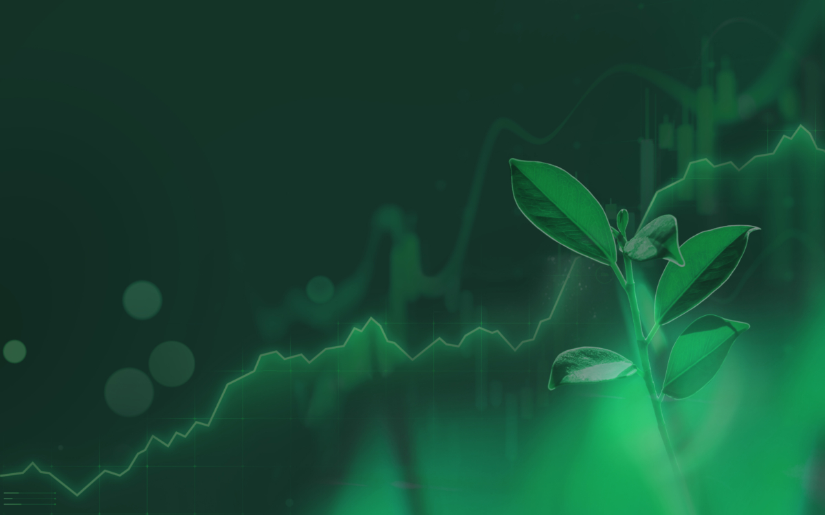 Plant sprout ecological abstract concept. 3D render seedling tree leaves. Save planet nature environment grow life eco polygon triangles low poly vector illustration art.