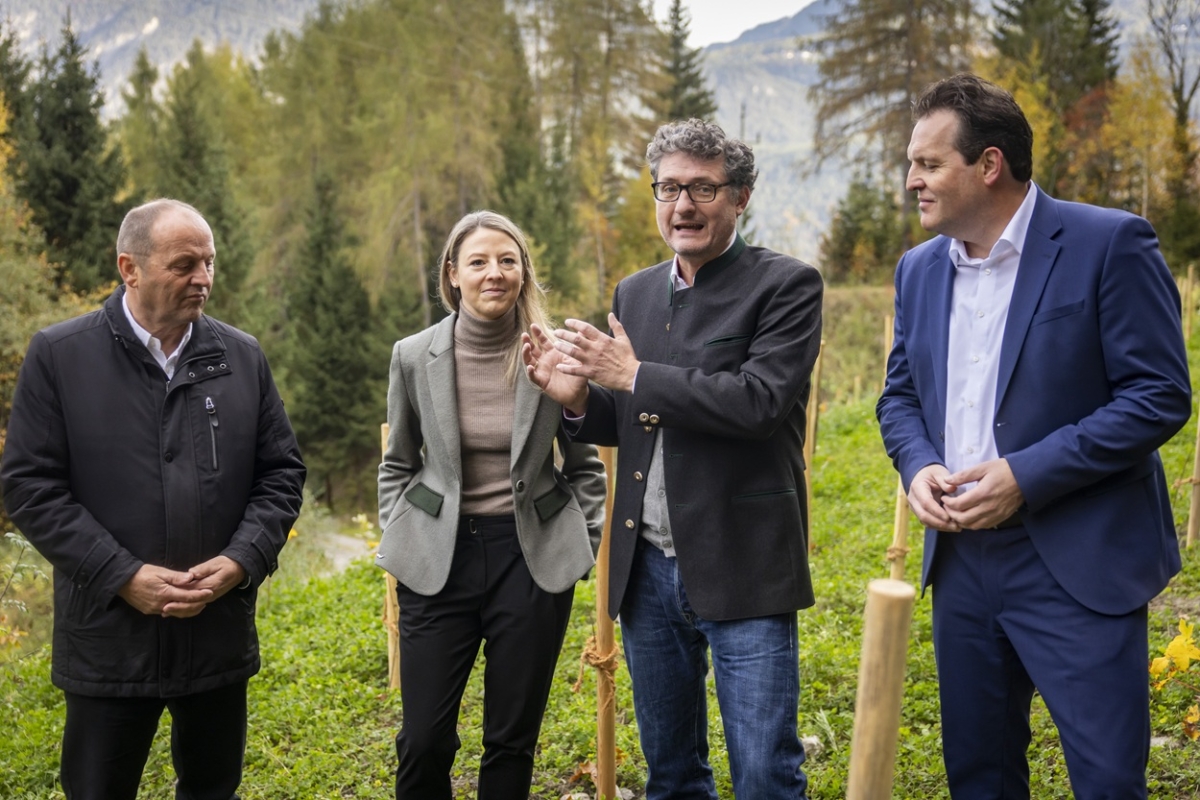 Im Rahmen des Programms „Klimafitter Bergwald Tirol“ wurden dank der Tiroler:innen und des Projekts „Tirol radelt“ 7.500 neue Jungbäume gepflanzt.