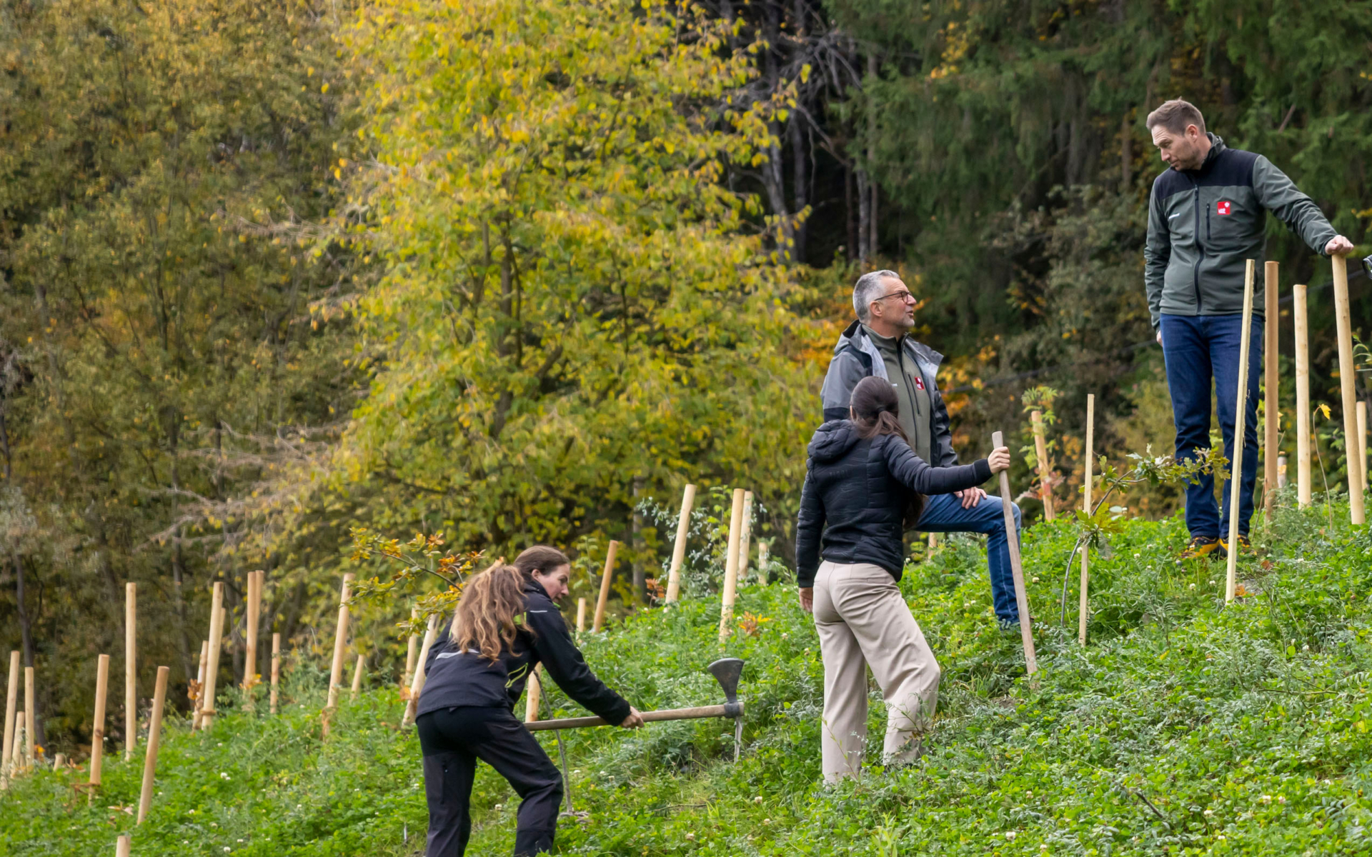 Waldaufseher sind für die Bewirtschaftung öffentlicher Wälder verantwortlich.