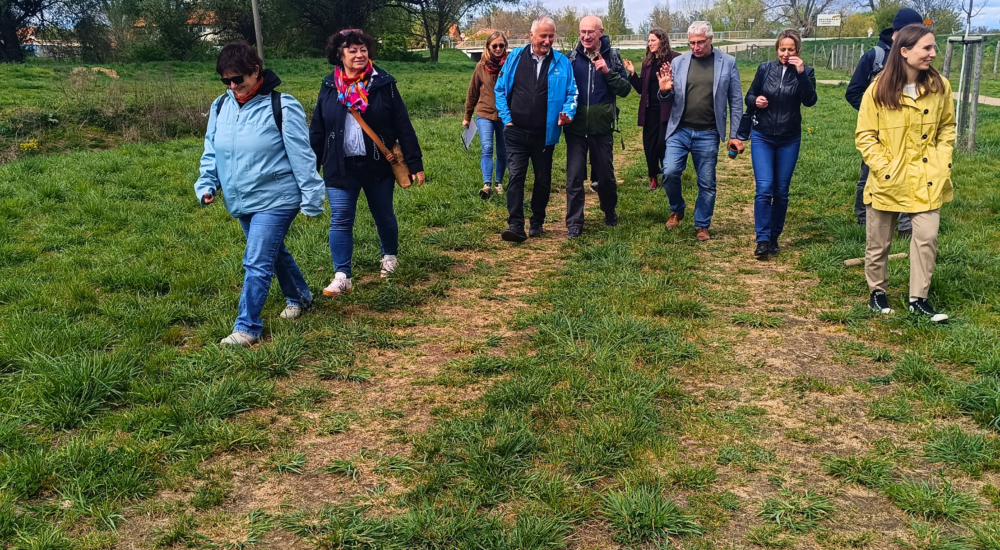 Die Reisegruppe spaziert durch eine Wiese