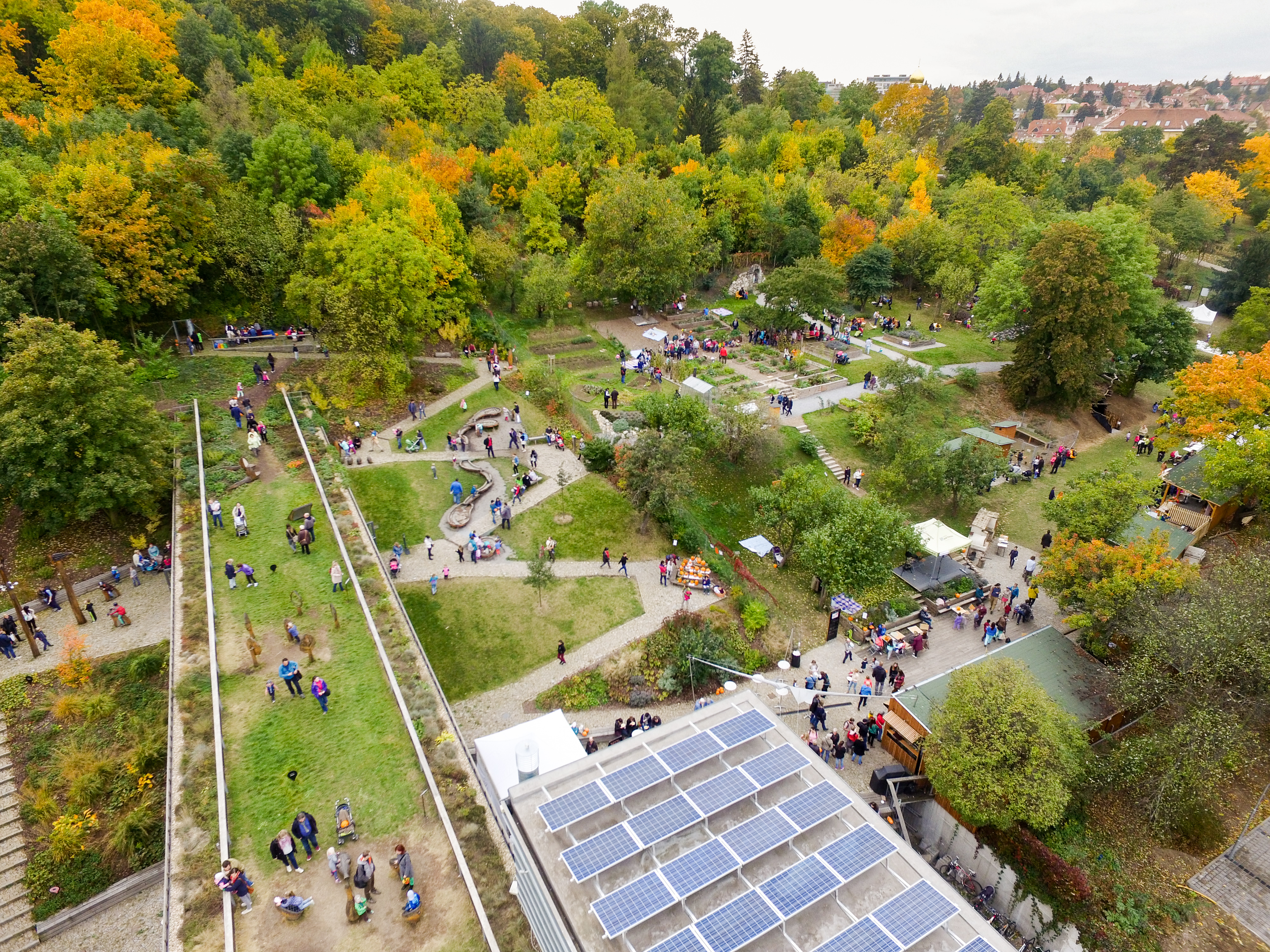 Ein belebter Park aus Vogelperspektive