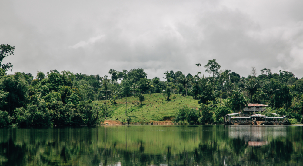 CIENAGA BOJAYA 2017